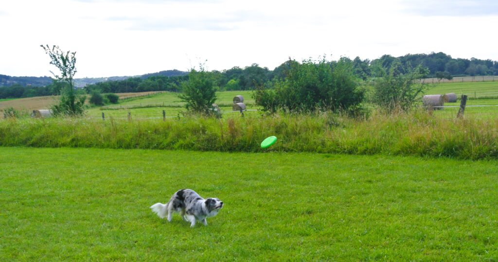 Camping Lac de la Liez Peigney(9)